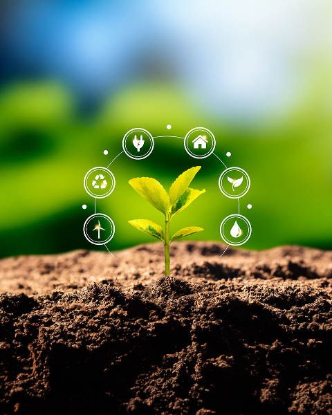 Développement Durable